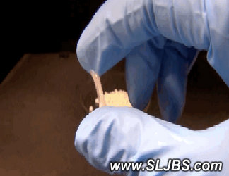 日本推出新型便攜式膠水 平時(shí)是固態(tài)的